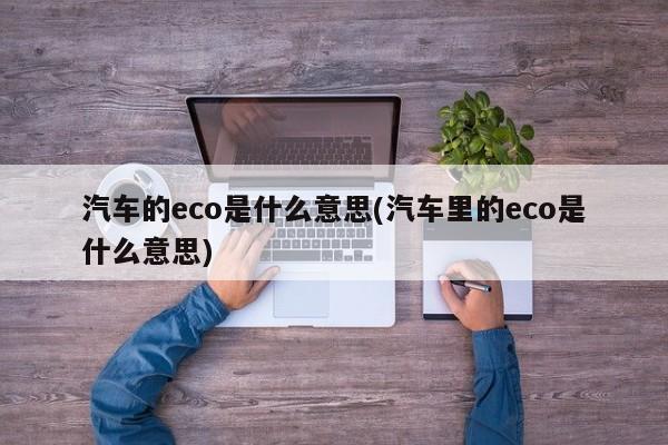 汽车的eco是什么意思(汽车里的eco是什么意思)