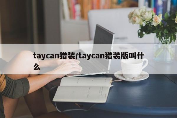 taycan猎装/taycan猎装版叫什么